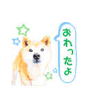 サスケスタンプver.2（個別スタンプ：6）