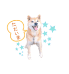 サスケスタンプver.2（個別スタンプ：7）