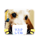 わんこ ちび＆チェリー3（個別スタンプ：4）