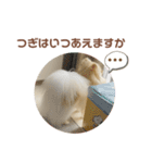 大きくなったこなつくんのスタンプ（個別スタンプ：17）