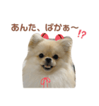 大きくなったこなつくんのスタンプ（個別スタンプ：27）