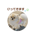 大きくなったこなつくんのスタンプ（個別スタンプ：30）