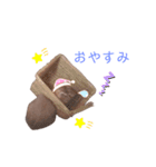 ❤︎可愛い癒し系うさぎ❤︎（個別スタンプ：16）