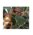 幸せなまねきねこ。（個別スタンプ：7）
