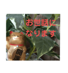幸せなまねきねこ。（個別スタンプ：11）