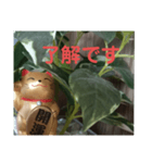 幸せなまねきねこ。（個別スタンプ：18）