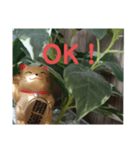 幸せなまねきねこ。（個別スタンプ：26）