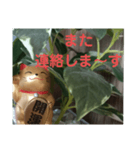 幸せなまねきねこ。（個別スタンプ：28）