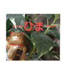 幸せなまねきねこ。（個別スタンプ：32）