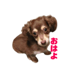 福のいちにち（個別スタンプ：4）
