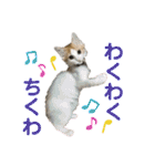 みんなのペット達（個別スタンプ：33）