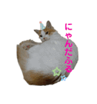 みんなのペット達（個別スタンプ：37）