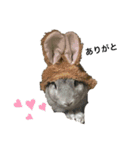 うさぎのすたんぷ①（個別スタンプ：15）