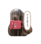 愛犬 はなちゃん♡（個別スタンプ：6）