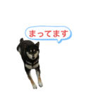 こてつ君 日常（個別スタンプ：3）