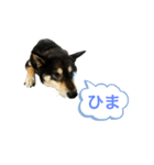 こてつ君 日常（個別スタンプ：7）
