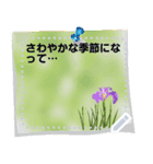 四季の手紙に代わるメッセージスタンプ（個別スタンプ：4）