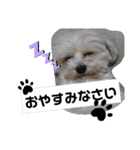 くるみぱんスタンプ（個別スタンプ：11）