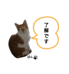 くるみぱんスタンプ（個別スタンプ：18）