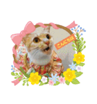 可愛いみるたん（個別スタンプ：1）