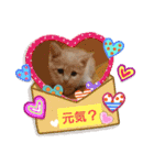 可愛いみるたん（個別スタンプ：2）