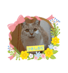 可愛いみるたん（個別スタンプ：3）