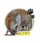 可愛いみるたん（個別スタンプ：4）