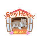 可愛いみるたん（個別スタンプ：5）