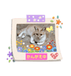 可愛いみるたん（個別スタンプ：8）