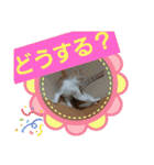 可愛いみるたん（個別スタンプ：9）
