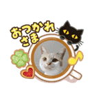 可愛いみるたん（個別スタンプ：10）