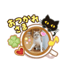 可愛いみるたん（個別スタンプ：11）