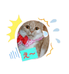 可愛いみるたん（個別スタンプ：19）