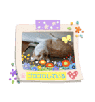 可愛いみるたん（個別スタンプ：21）