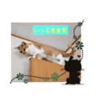可愛いみるたん（個別スタンプ：23）