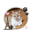可愛いみるたん（個別スタンプ：25）
