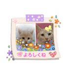 可愛いみるたん（個別スタンプ：33）