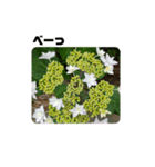 花とかんたんし❗（個別スタンプ：15）