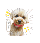 みすみ会（個別スタンプ：1）