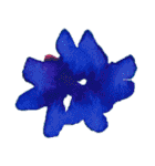 シンプルアートスタンプ FLOWER（個別スタンプ：5）