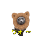 陽気にゃうちの猫（個別スタンプ：4）