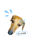 短足胴長犬のスタンプ（個別スタンプ：3）