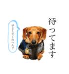 短足胴長犬のスタンプ（個別スタンプ：5）