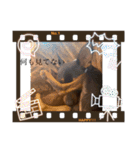 ミニピン  りっくん3（個別スタンプ：5）