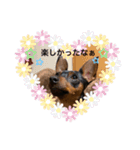 ミニピン  りっくん3（個別スタンプ：14）