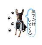 ミニピン  りっくん3（個別スタンプ：23）