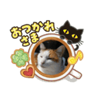 なるびびりん 3（個別スタンプ：5）