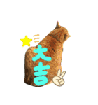 なるびびりん 3（個別スタンプ：14）