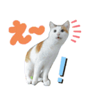 なるびびりん 3（個別スタンプ：17）