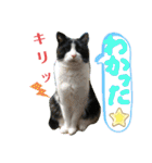なるびびりん 3（個別スタンプ：23）